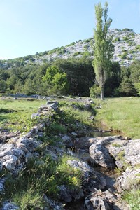 Slika.